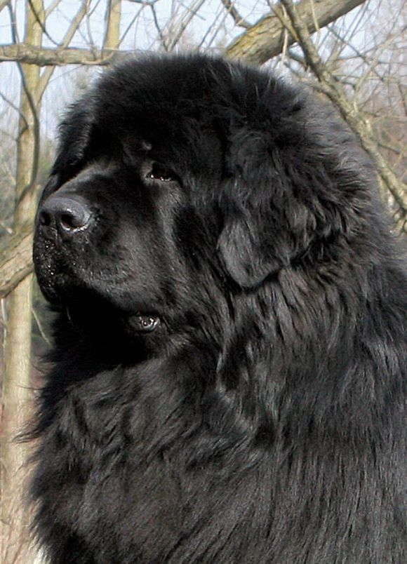 R Fabricius od Trojske skaly (09-02-2006)